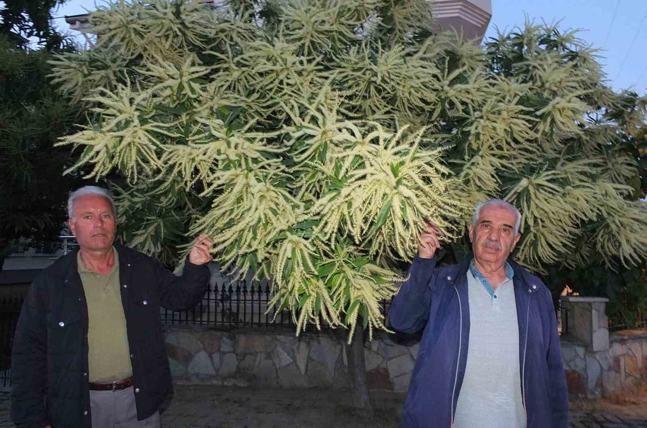 HAMDİ MENGİ VE ÇETİN KILIÇ