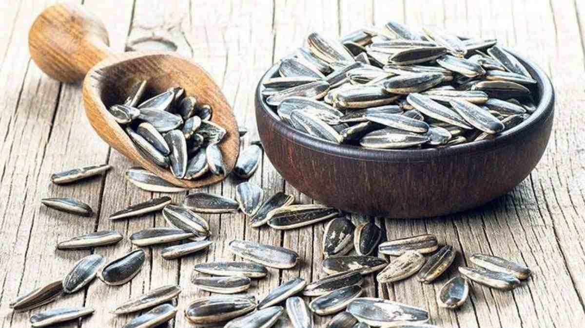 Hamilelikte çekirdek yemek