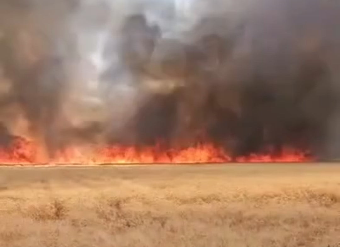 HARRAN'DA YANGIN