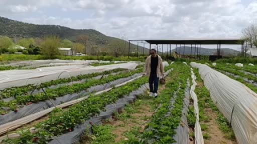 Hasadı çiftçi değil, vatandaş yaptı