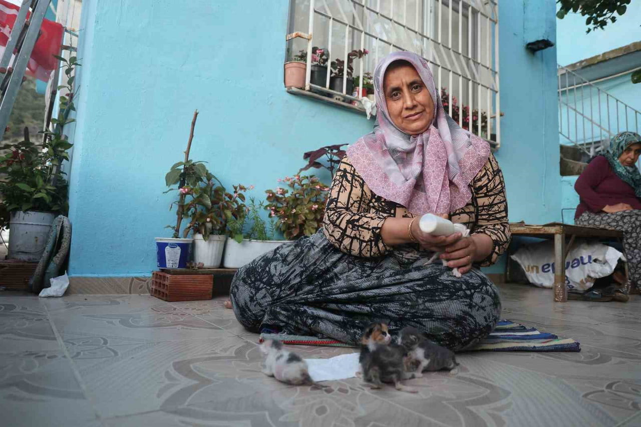 HATAY'DA ANNELERİ TELEF OLDUKTAN SONRA SOKAKTA YAŞAM MÜCADELESİ VEREN YAVRU KEDİLERE SAHİP ÇIKAN...