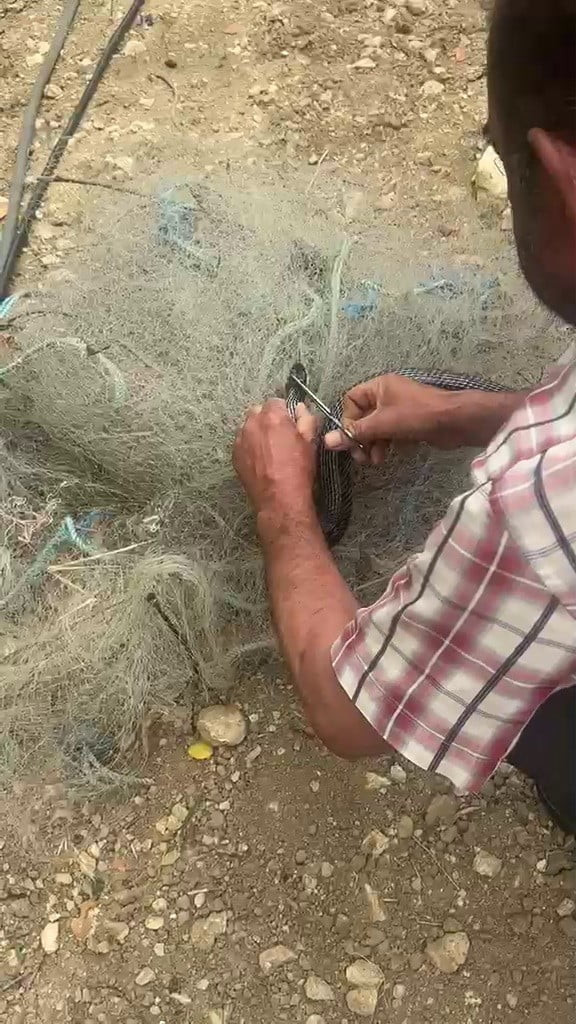 HATAY'DA BALIK AĞINA TAKILARAK MAHSUR KALAN YILAN, DUYARLI VATANDAŞ TARAFINDAN KURTARILARAK DOĞAYA...