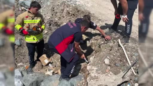 Hatay'da ekipler yavru kedileri böyle kurtardı