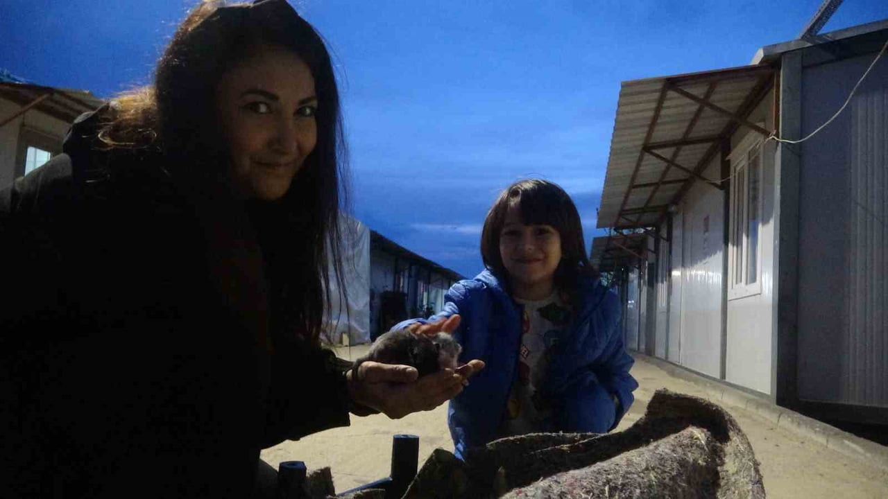 HATAY'DA SU KANALINDA DOĞUM YAPAN KEDİ VE 3 YAVRUSUNU KONTEYNERDE KALAN ANNE VE OĞLU...