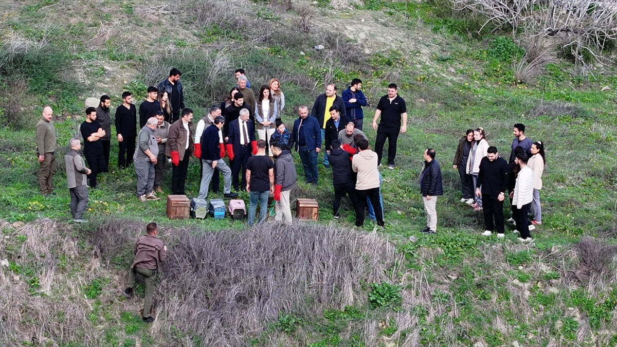 Hatay'da yaralı ve güçten düşmüş halde bulunan 7 kuş, tedavilerinin ardından doğaya...
