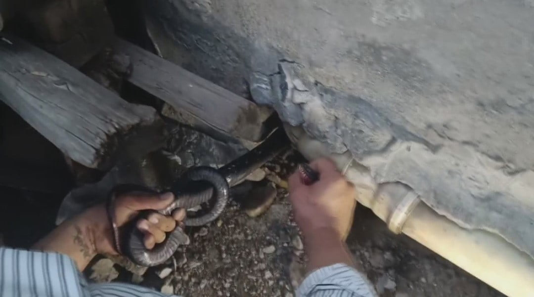 HATAY'DA ‘YILANCI KEMAL' OLARAK TANINAN KEMAL BAŞER, DİYALİZ HASTASAI OLAN AİLENİN EVİNE GİRMEYE...