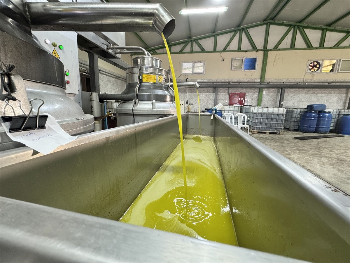 Hatay'ın Altınözü ilçesinde Tarım ve Kırsal Kalkınmayı Destekleme Kurumundan (TKDK) aldığı...