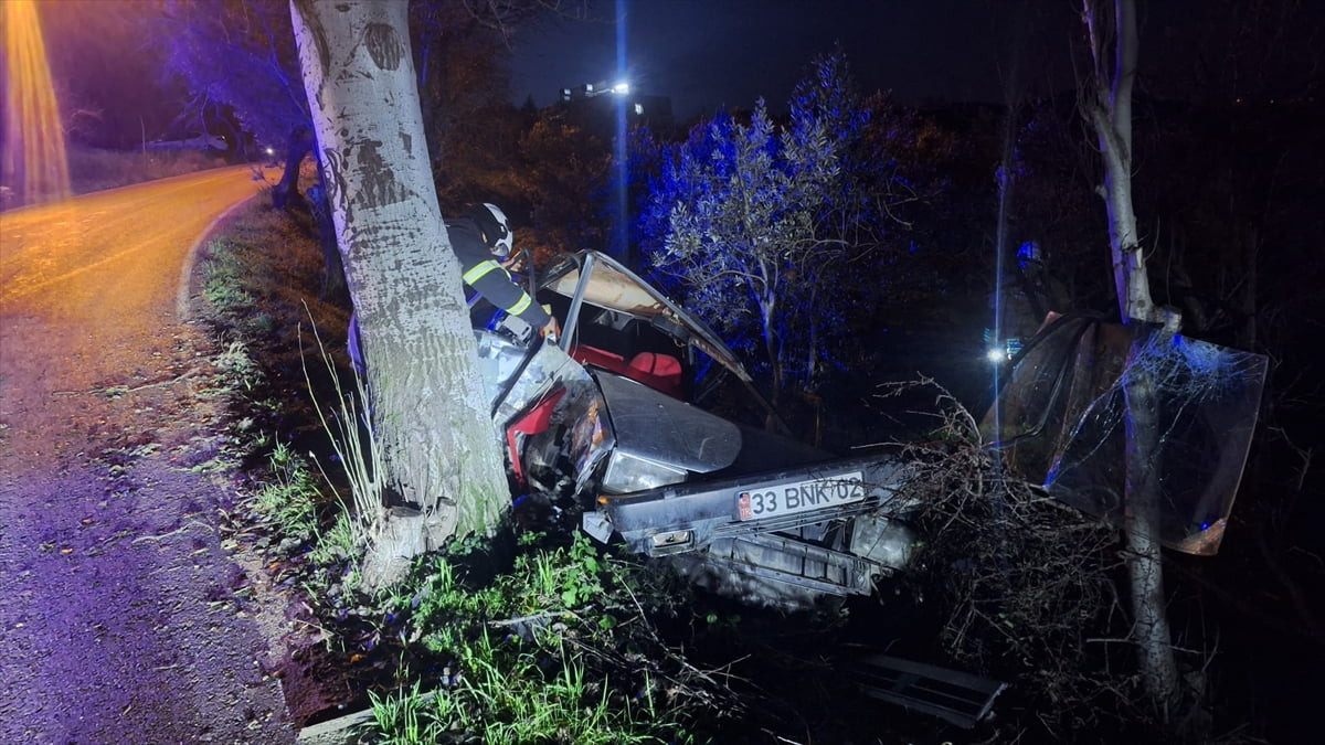 Hatay'ın Altınözü ilçesinde yol kenarındaki ağaca çarpan otomobilin sürücüsü yaralandı.