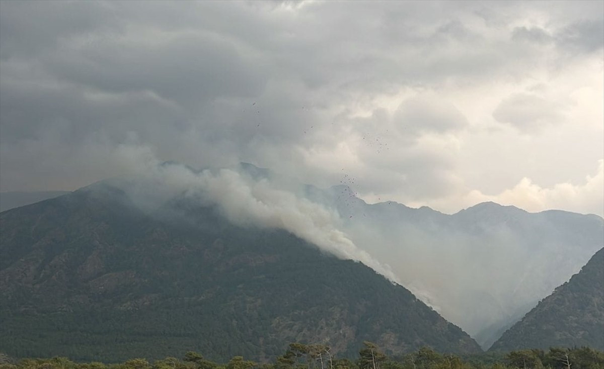 Hatay'ın Arsuz ilçesinde 2 farklı noktada çıkan orman yangınlarına havadan ve karadan müdahale...