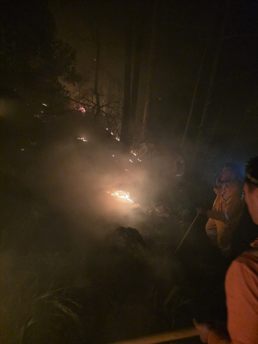 Hatay'ın Arsuz ilçesinde ormanlık alanda çıkan yangına karadan müdahale ediliyor.