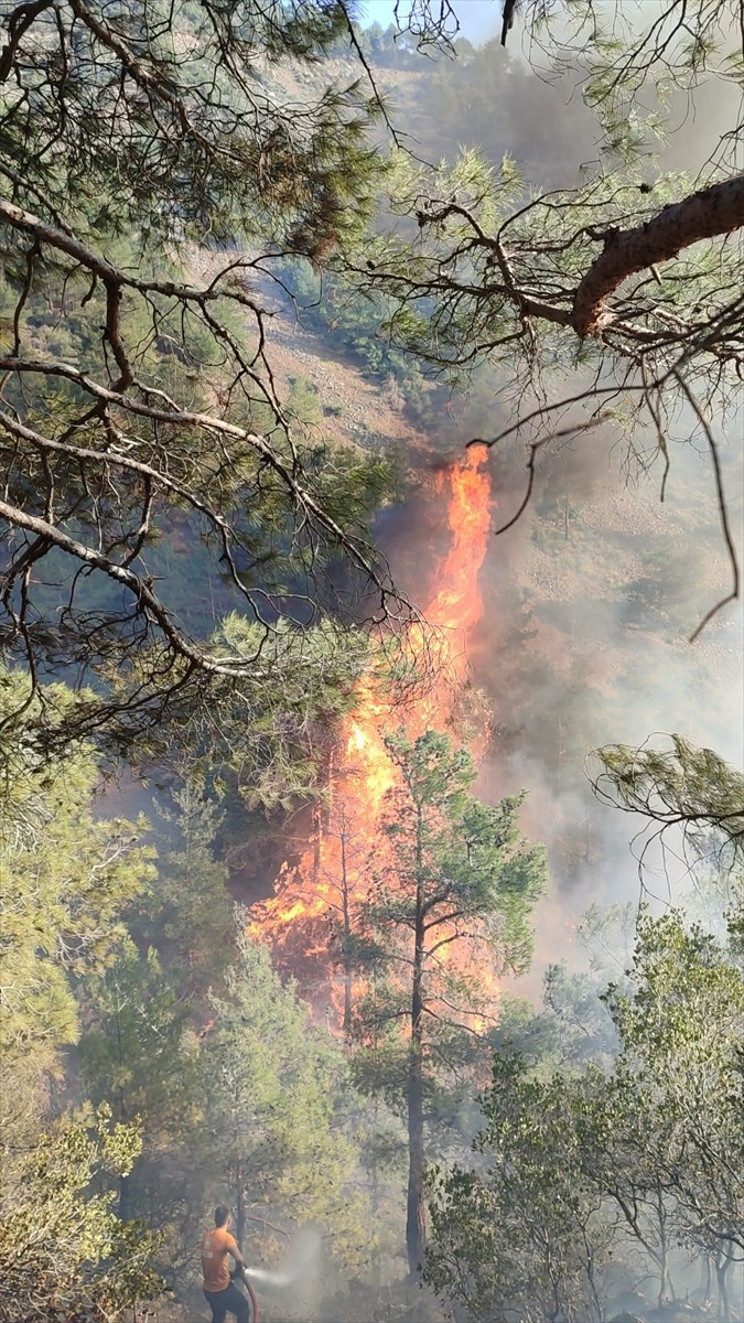 Hatay'ın Belen ilçesinde ormanlık alanda çıkan yangına karadan müdahale ediliyor.