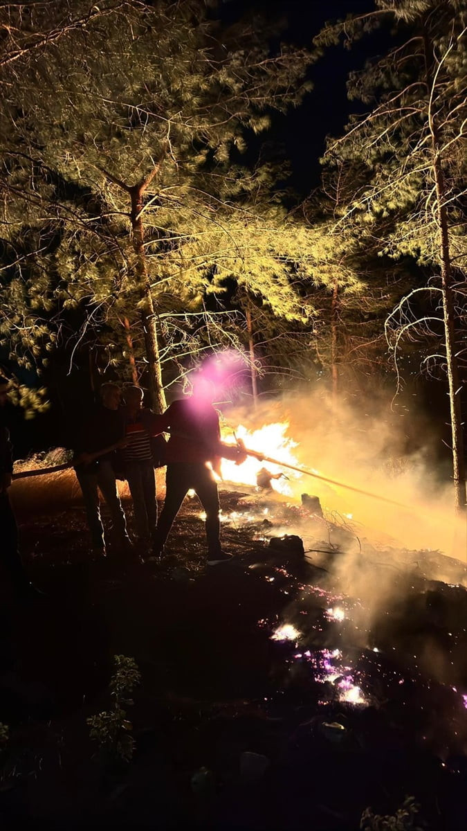 Hatay'ın Dörtyol ilçesinde çıkan orman yangını, ekiplerin müdahalesiyle kontrol altına...