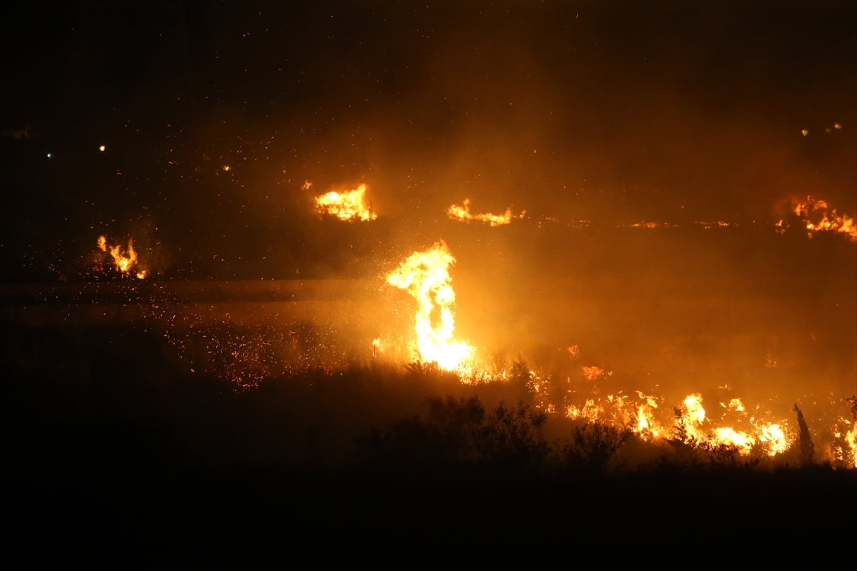 Hatay'ın İskenderun ilçesinde zeytinlik alanda çıkan yangın, ekiplerin müdahalesiyle kontrol...