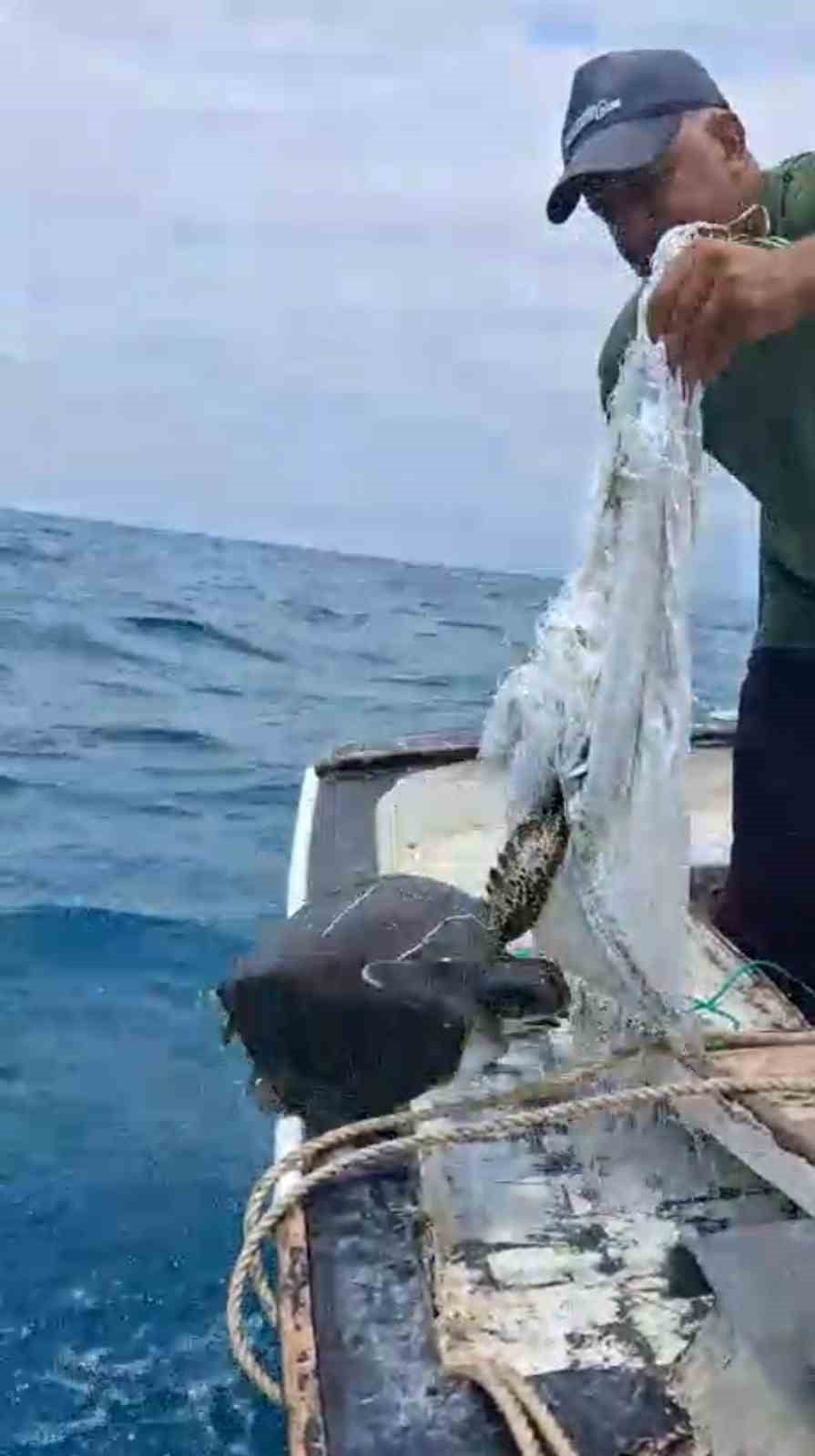 HATAY'IN SAMANDAĞ İLÇESİNDE DENİZ AÇIKLARINDA BALIKÇI YÜKSEL KAYA'NIN OLTASINA CARETTA CARETTA...