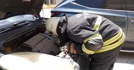 HATAY’DA ARACIN MOTOR KISMINA GİREN  YAVRU KEDİ, İTFAİYE EKİPLERİ TARAFINDAN KURTARILDI.