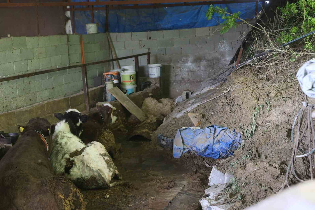 HATAY’DA GECE SAATLERİNDE ETKİLİ OLAN YAĞIŞLA BİRLİKTE HEYELAN OLDU. ANTAKYA İLÇESİNDE BESİCİLİK...