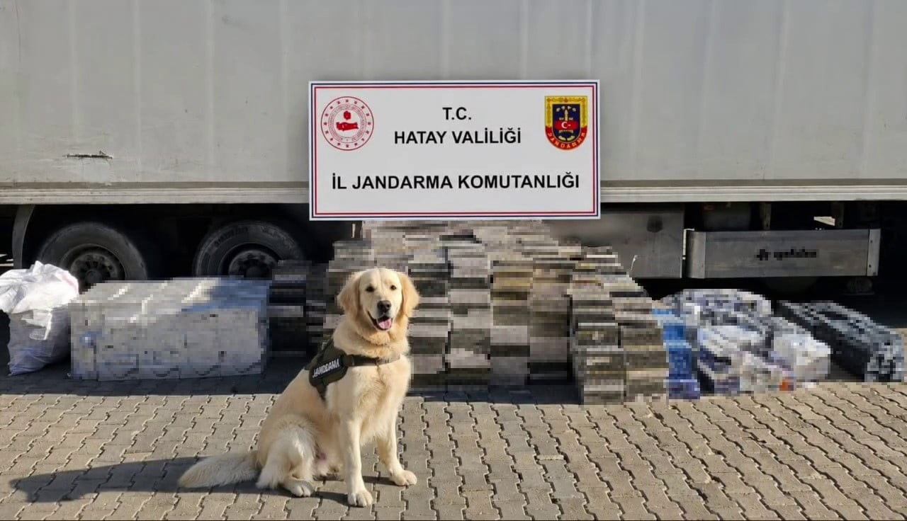 HATAY’DA JANDARMA EKİPLERİ TARAFINDAN TIR DORSESİNDE YAPILAN ARAMADA 3 BİN KARTON KAÇAK SİGARA ELE...