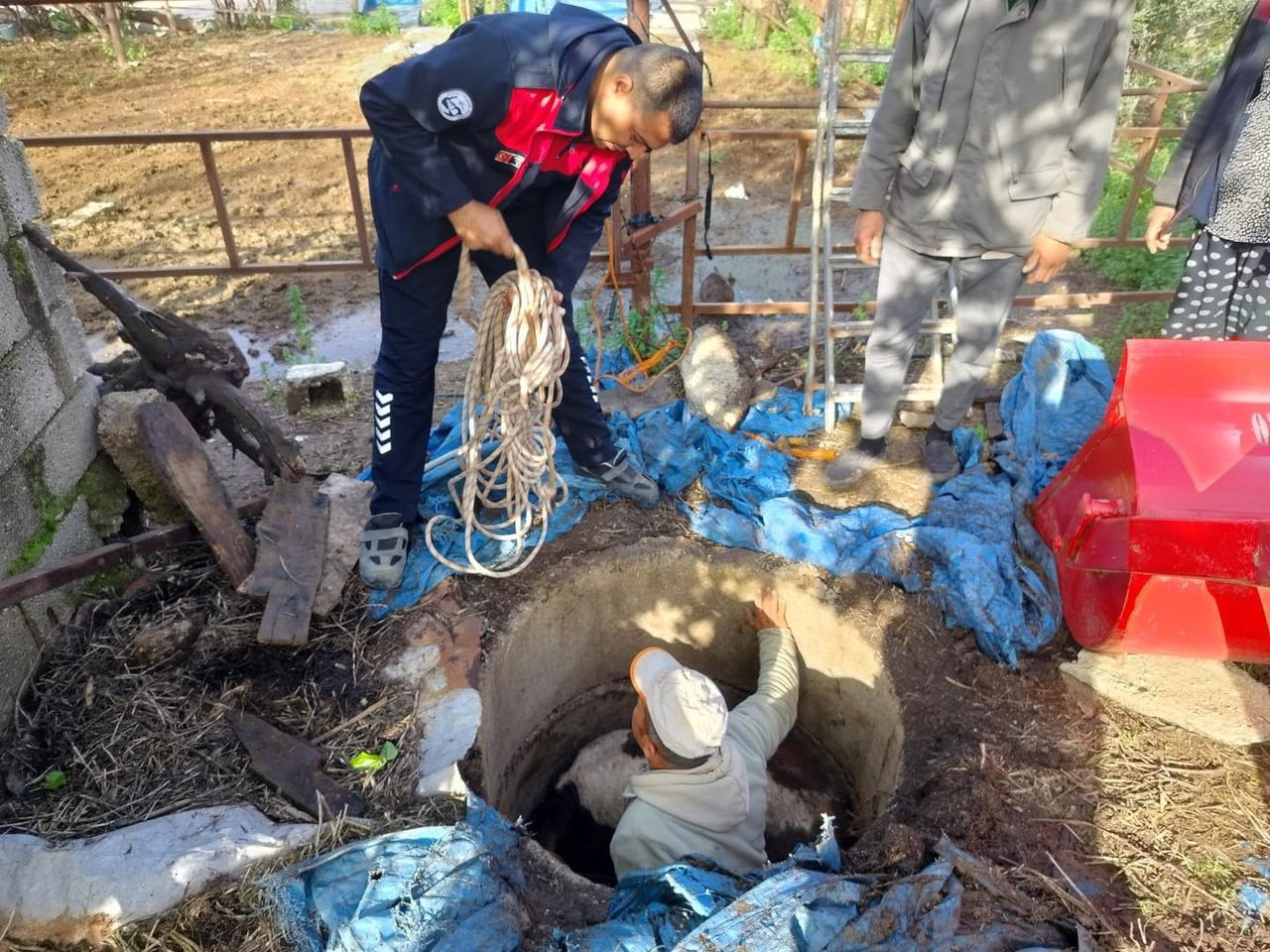 HATAY’DA KUYUYA DÜŞEREK MAHSUR KALAN BUZAĞI İTFAİYE EKİPLERİNİN ZORLU ÇALIŞMASIYLA...