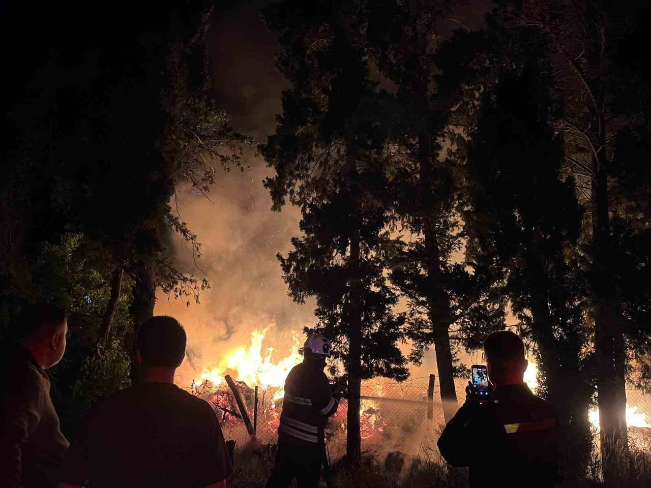 HATAY’IN ARSUZ İLÇESİNDE ÇIKAN AĞAÇLIK ALAN YANGINI KISA SÜREDE KONTROL ALTINA ALINDI