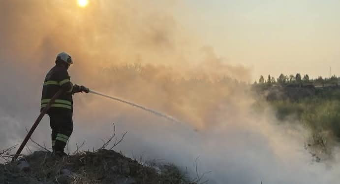 HATAY’IN ARSUZ İLÇESİNDE ÇÖPLÜK ALANDA ÇIKAN YANGIN, İTFAİYE EKİPLERİNİN HIZLI MÜDAHALESİYLE...