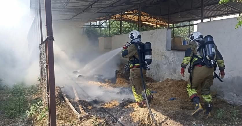 HATAY’IN DÖRTYOL İLÇESİNDE ÇIKAN SAMANLIK YANGINI KISA SÜREDE KONTROL ALTINA ALINDI.