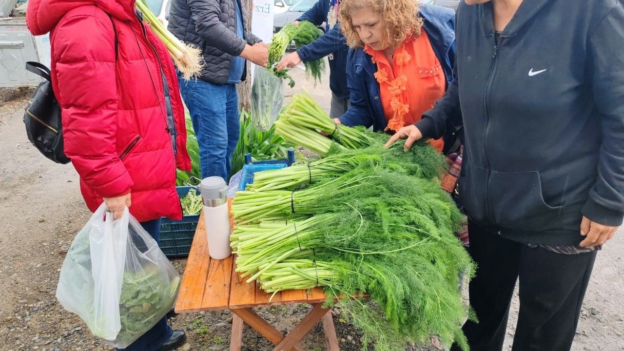 HATAY’IN ERZİN İLÇESİNE BAĞLI TURUNÇLU MAHALLESİ'NDE DÜZENLENEN 1. OT FESTİVALİ ETKİLİ OLAN...