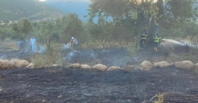 HATAY’IN HASSA İLÇESİNDE ZEYTİNLİK ALANDA ÇIKAN YANGIN, İTFAİYE EKİPLERİNİN HIZLI MÜDAHALESİYLE...