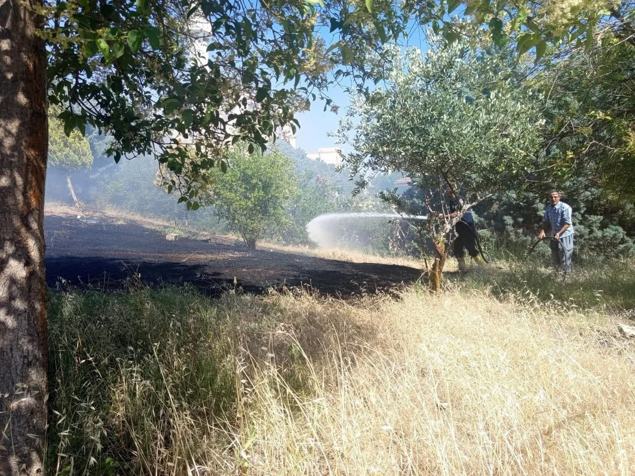 HATAY’IN REYHANLI İLÇESİNDE ZEYTİNLİK ALANDA ÇIKAN YANGIN, İTFAİYE EKİPLERİNİN MÜDAHALESİYLE...