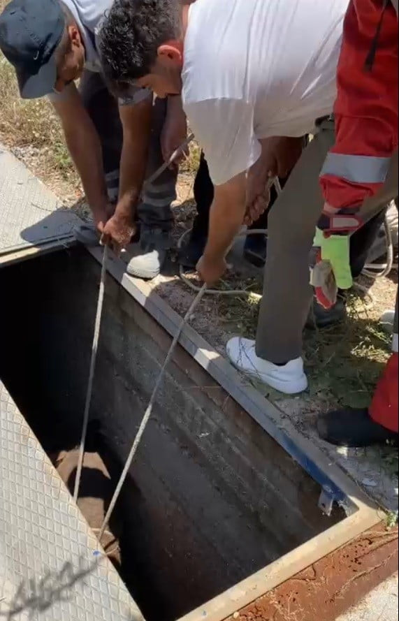 HAVALANDIRMA BOŞLUĞUNA DÜŞEN EŞEK KURTARILDI
