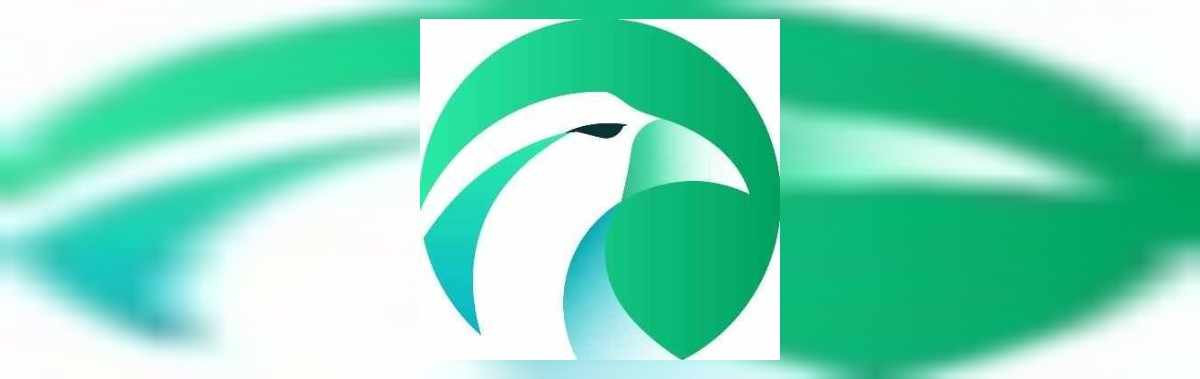 Hawk coin nedir
