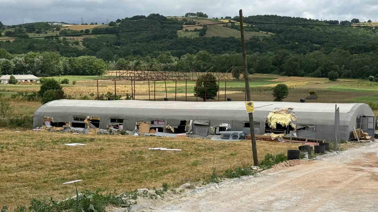 HAYVAN ÇİFTLİĞİNDEKİ YANGINDA 5 KUZU TELEF OLDU, BİN BALYA KÜLE DÖNDÜ