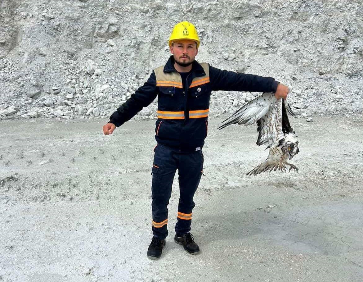 HİSARCIK İLÇESİNDE MADEN SAHASINDA BİTKİN HALDE BULUNAN BALIK KARTALI KORUMA ALTINA ALIND
