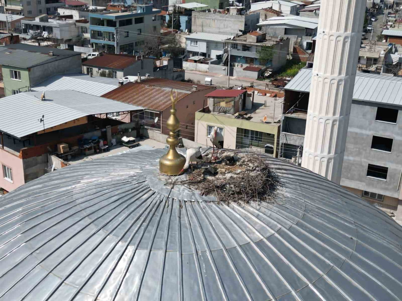 HZ. İBRAHİM CAMİİ'NİN KUBBESİNE 6 YIL ÖNCE YUVA YAPAN İKİ LEYLEK, HER YIL AYNI DÖNEMDE YUVALARINA...