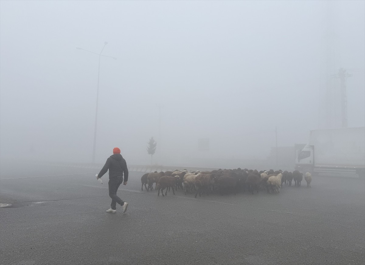 Iğdır il merkezi ve çevresindeki kara yollarında yoğun sis etkili oldu. Görüş mesafesinin 10...