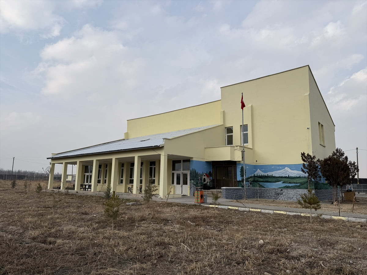 Iğdır'da her yıl sonbahar mevsiminde yaylalardan getirilerek serbest bırakılan sahipsiz köpeklerin...