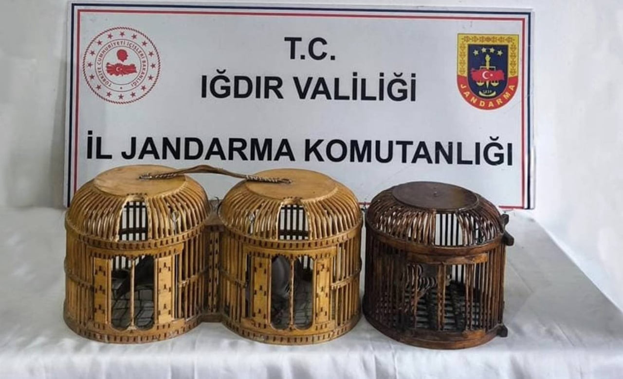 IĞDIR’DA KAÇAK KEKLİK AVINA SUÇÜSTÜ: 72 BİN TL CEZA