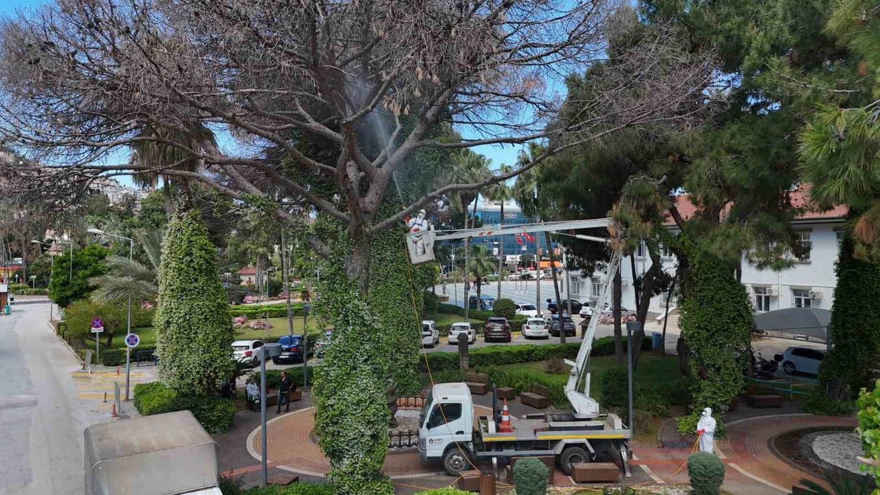 İKLİM DEĞİŞİKLİĞİ VE KURAKLIĞIN ETKİSİYLE SON YILLARDA ARTIŞ GÖSTEREN ZARARLI POPÜLASYONLARA KARŞI...