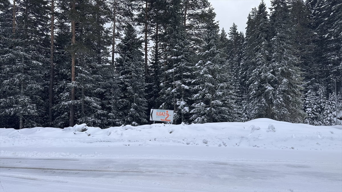 Ilgaz Dağı'nda kar yağışı etkili oldu. Kastamonu-Çankırı sınırındaki Ilgaz Dağı Milli Parkı'nda...