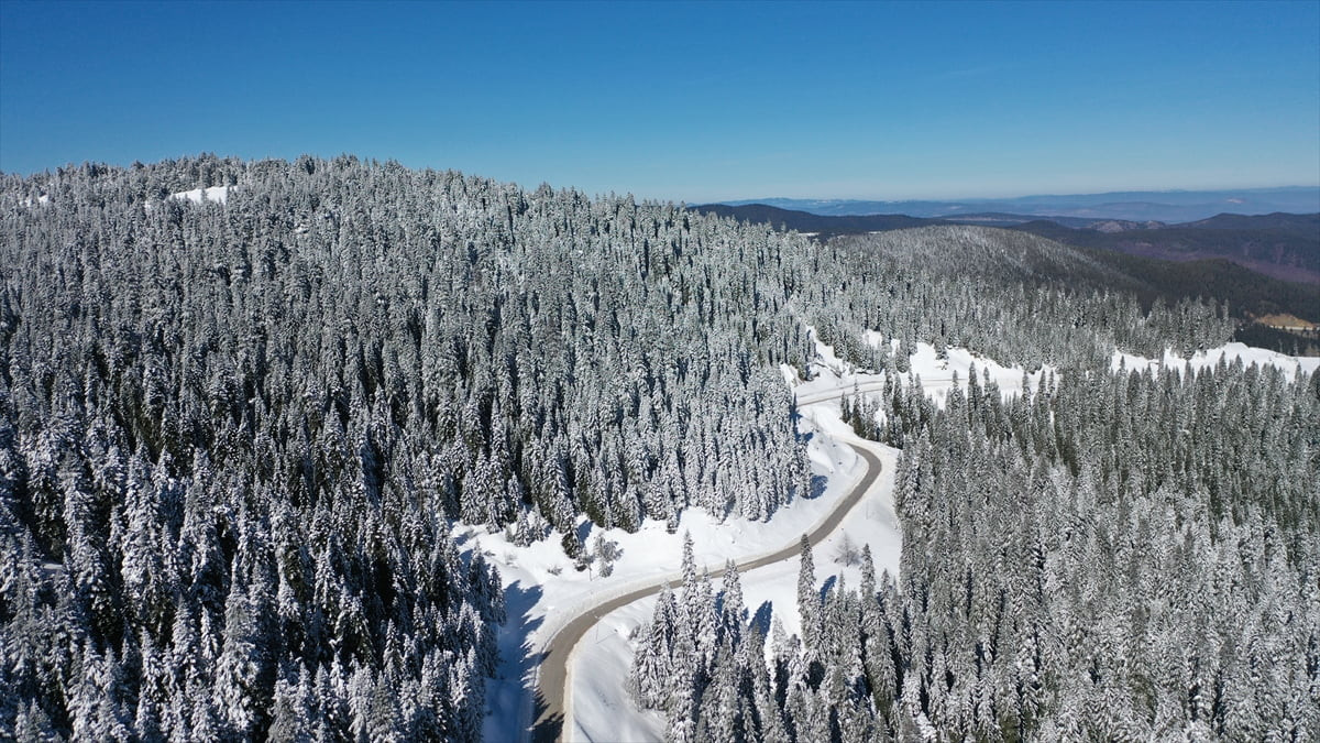 Ilgaz Dağı'nda kar yağışının ardından beyaz örtüyle kaplanan ormanlar, dronla kaydedildi.