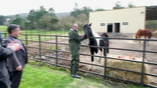 İlk tüp tay Balat 2 yaşında