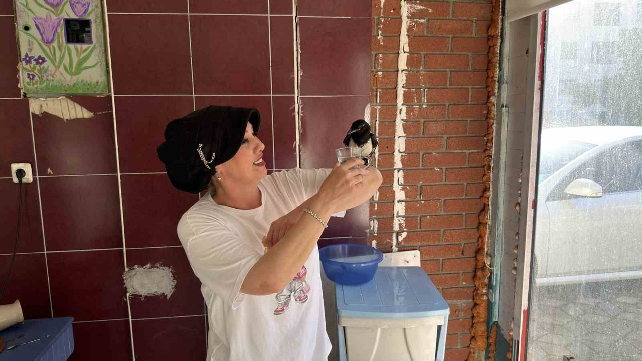 İLKNUR BOZDEMİR, SAKSAĞAN YAVRUSUYLA ARKADAŞ OLDU