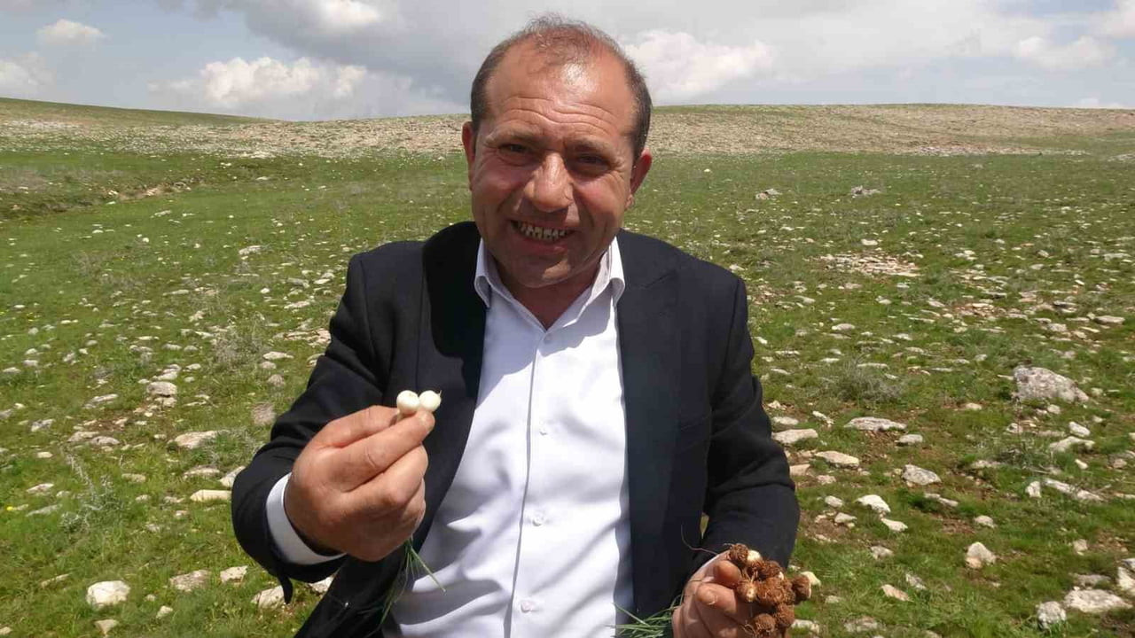 İSMAİL YAŞAR