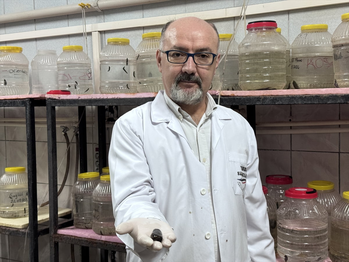 Isparta Uygulamalı Bilimler Üniversitesi Eğirdir Su Ürünleri Fakültesi Öğretim Üyesi ve Tıbbi...