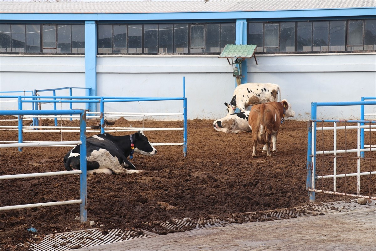 Isparta Uygulamalı Bilimler Üniversitesi (ISUBÜ) Ziraat Fakültesi Eğitim Araştırma ve Uygulama...