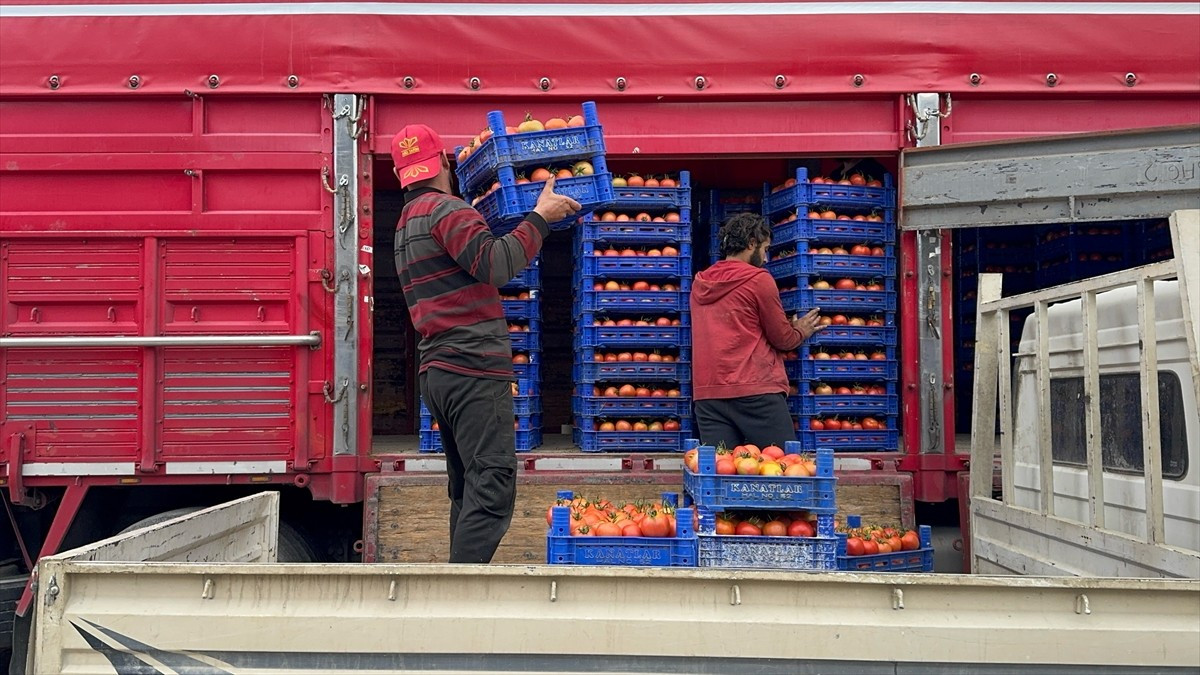 Isparta'da merkeze bağlı 2 bin 112 nüfuslu Deregümü köyünde 18 yıl önce alternatif ürün olarak...