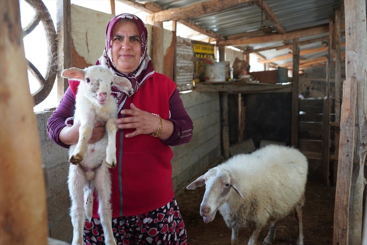 Isparta'da yaşayan 48 yaşındaki Emine Çalık, hem çobanlık hem de okul servisçiliği yaparak aile...