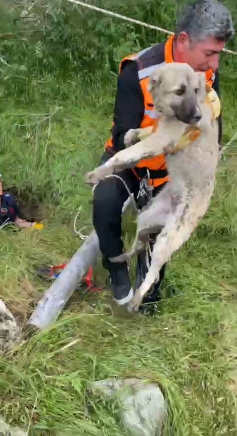 ISPARTA’DA KAPAĞI AÇIK UNUTULAN FOSEPTİK ÇUKURUNA DÜŞEN YAVRU KÖPEK İLE ÇUKURDA MAHSUR KALAN...