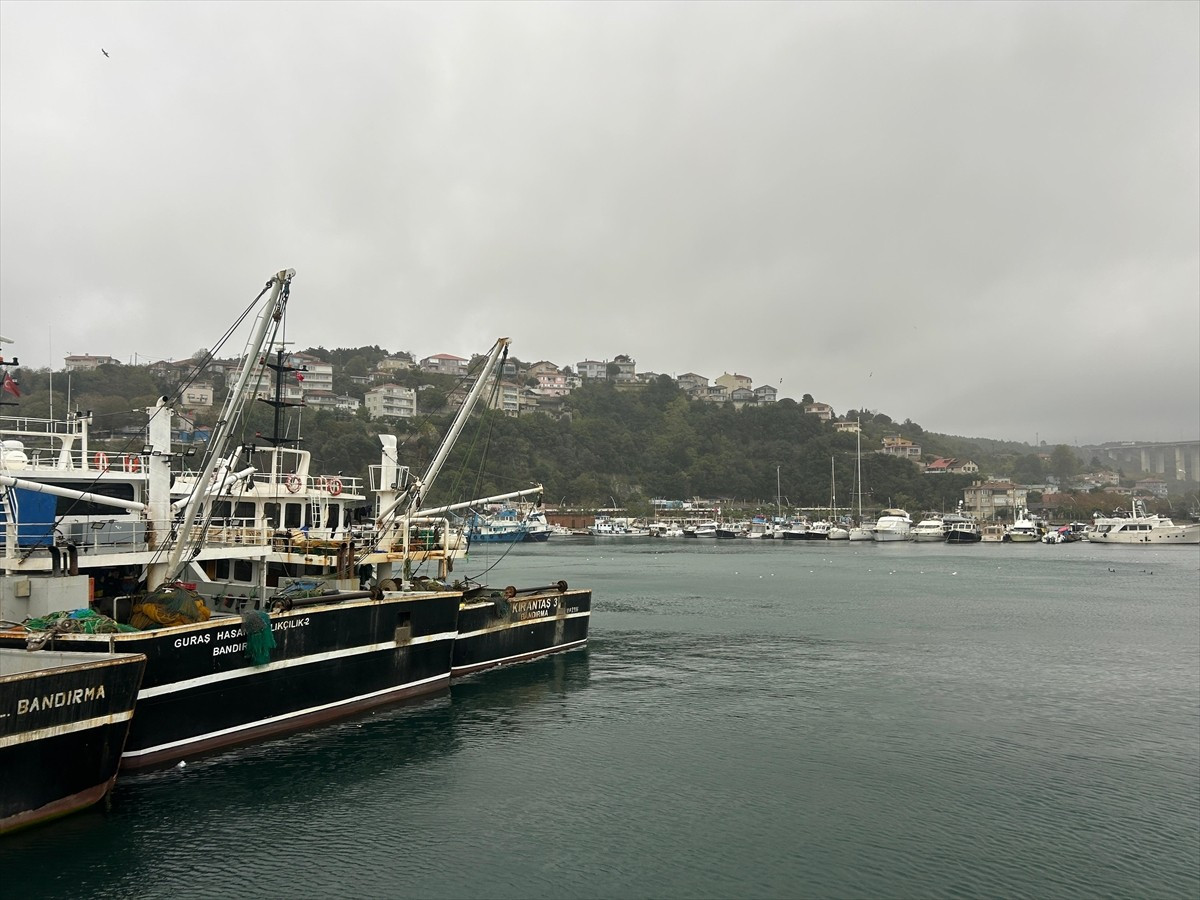 İstanbul Boğazı'nın Karadeniz'e açılan kapısı Poyrazköy, balıkçılıkla geçimini sürdüren sakinleri...