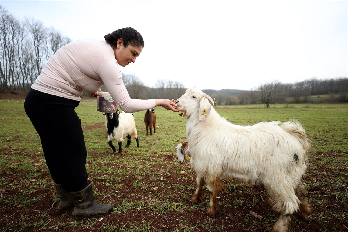 İstanbul'da yaşayan 48 yaşındaki moda tasarımcısı Yeliz Yıldırım, şehir hayatının stresinden...
