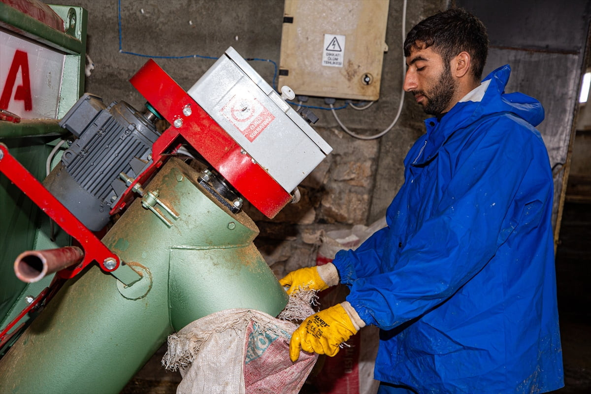 İstanbul'daki yoğun ve stresli iş hayatını geride bırakan makine mühendisi Gökhan Yalçınkaya...